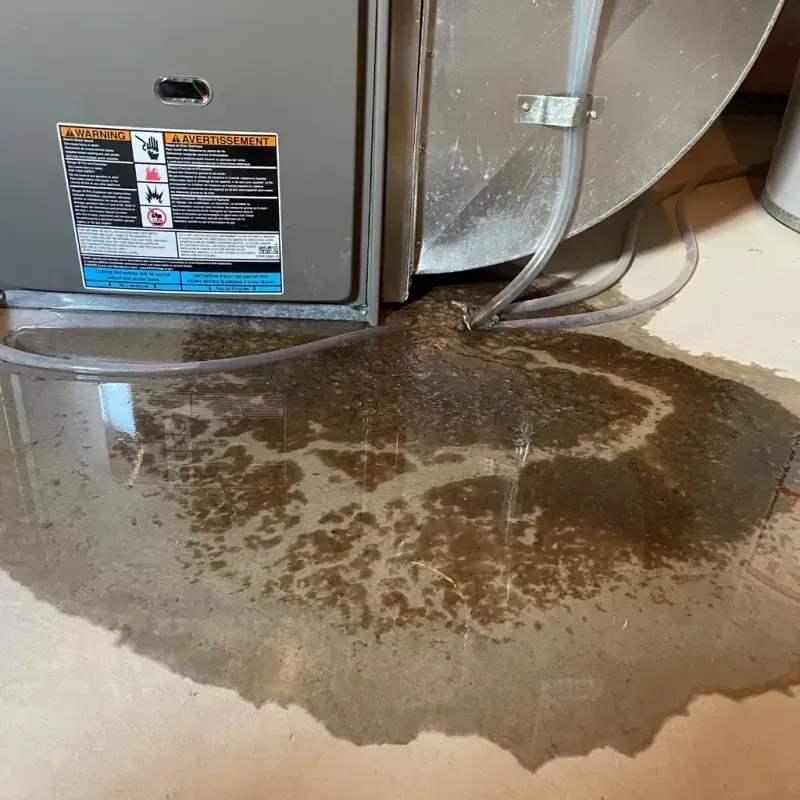 Appliance Leak Cleanup in Yucca Valley, CA